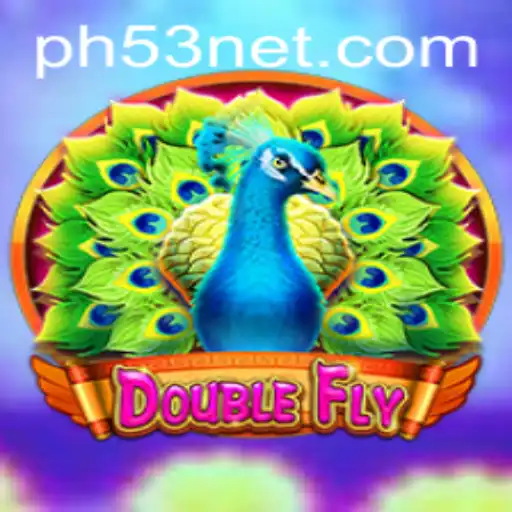 DoubleFly: The Thrilling World of Aerial Strategy and Adventure